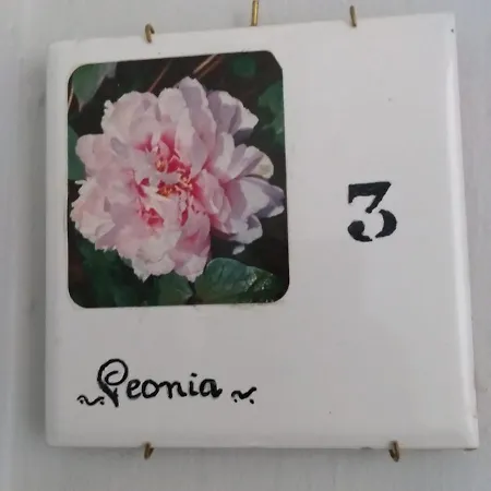 Dimora Palma Di Апартаменты