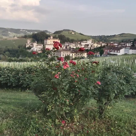 Dimora Palma Di Apartment